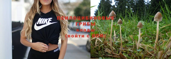 дживик Волоколамск